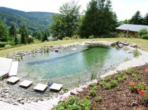 merlet-paysagiste-baignade-piscine-naturelle5