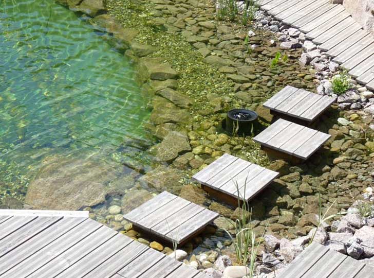 merlet-paysagiste-baignade-piscine-naturelle4